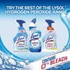 Lysol Toilet Bowl Cleaner Gel, For Cleaning and Disinfecting, Bleach