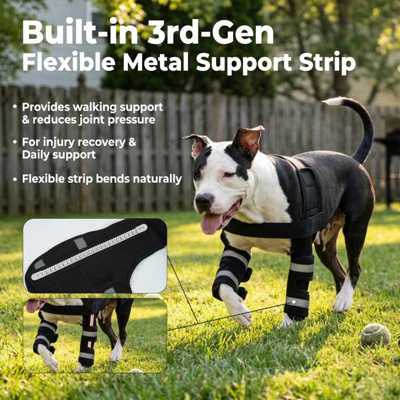 Allroaring Dog Front Leg Elbow Brace for ED, Joint Support