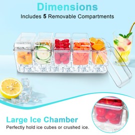 Chilled Condiment Server Tray,Bar Fruit Caddy with Lid and 5 Removable Compartments,Clear Ice Condiment Serving Tray for Party,Toppings Bar Container（2pcs Ice Cube Tray）