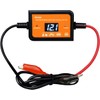 400AH Lead-Acid Battery Desulfator Battery Maintainer Auto-Setting for 12V-48V Auto