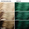 KeraColor COLOR + CONDITIONER CLENDITIONER EMERALD 12OZ