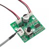 Audio Amplifier Board, DC 7.5-24V Mono Digital Power Amplifier Board