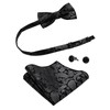 MAGE MALE Men’s Bow Tie Set,Classic Paisley Pre-Tied Bowtie,Pocket Square