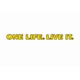 Large Printed One Life Live It 4x4 Off Road Car Sticker Yellow