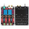 Digital Power Amp Board Deluxe Dual Chip 2x100W Amplifier PCB