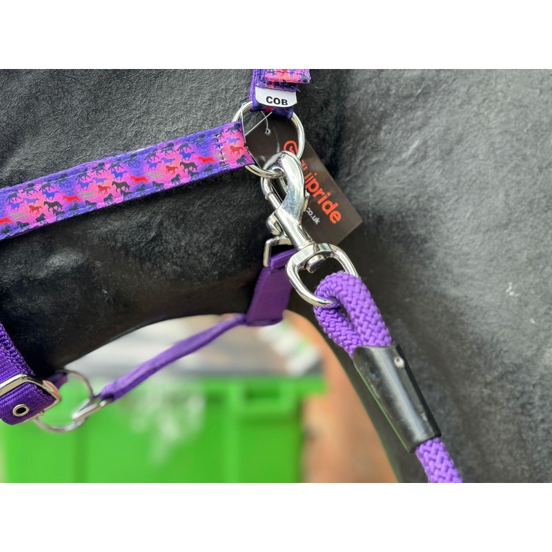 EQUIPRIDE HEADCOLLAR AND LEAD ROAD SET FAUX FUR UNICORN PRINT