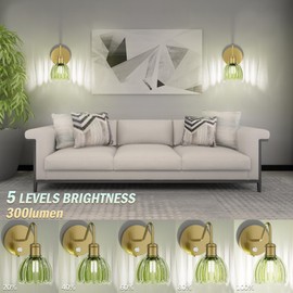 irotine 2 Pack Battery Powered Wall Sconce with Green Tulip Glass Lampshade, Rechargeable Dimmable LED Wall Sconce for Living Room, Hallway, Bedroom, Dining Room