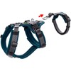 Maldon Safety Harness, Petrol/Grey, Size XS-S