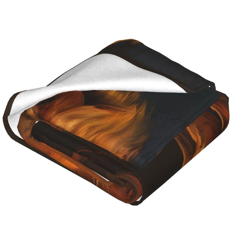 Bidesk Lion Blanket Soft Cozy Flannel Throw, Warm Lightweight Fuzzy
