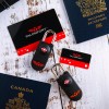 Talonport Keyless TSA Approved Luggage Locks with Lifetime Card Keys