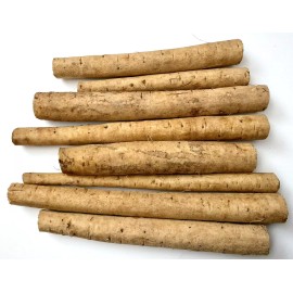 Unbranded Fresh Burdock Root Japanese Gobo 24 oz Medicinal Herb Blood Liver Detox Immune