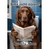 Blechschild Humor Aluminium 20x30cm - auf der Toilette mit Zeitung