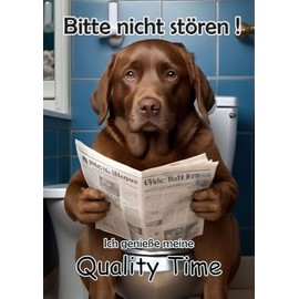 Blechschild Humor Aluminium 20x30cm - auf der Toilette mit Zeitung Labrador Retriever braun 77