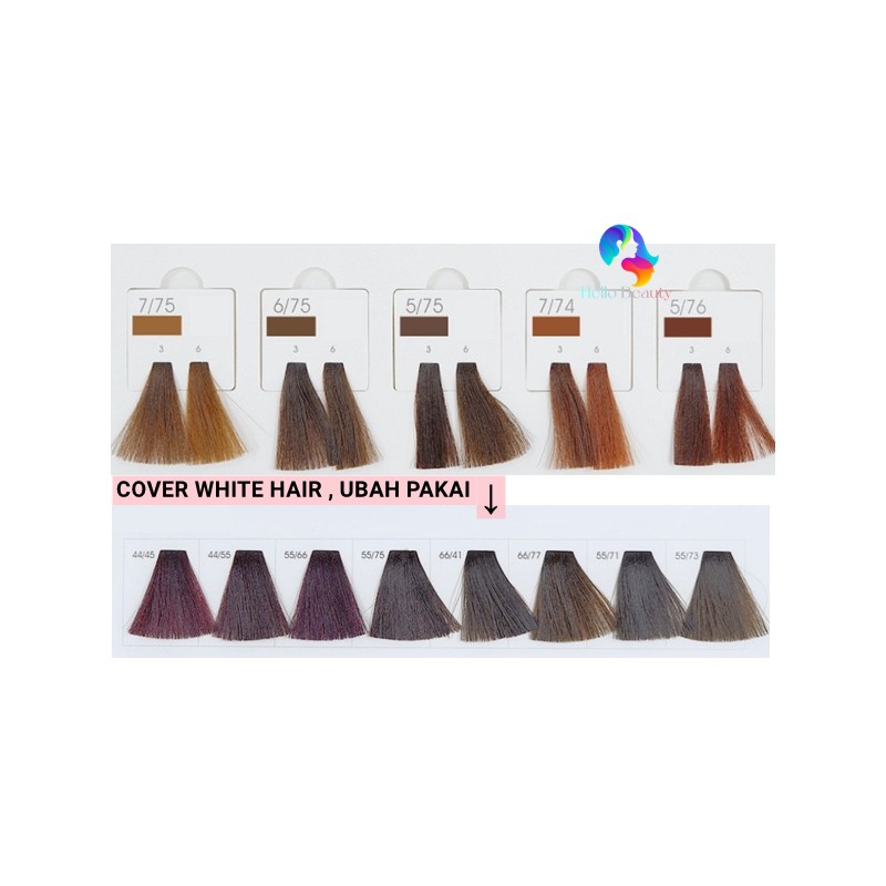 MUSK Professional Hair Salon MOCHEQI Musk Colour Cream Hair Color
