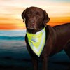 Trixie Safer Life Neckerchief for Dog, 42 cm