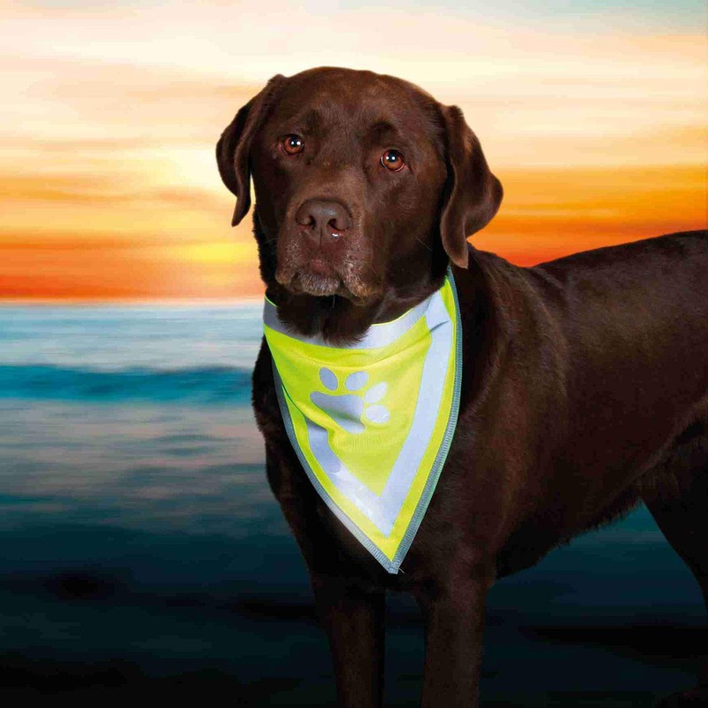 Trixie Safer Life Neckerchief for Dog, 42 cm