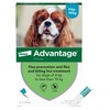 Advantage Advantage Spot On Flea Treatment 100 Medium Dogs 4-10kg,