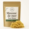 Golden Sea Moss - Golden Sea Moss - Superfood 100%