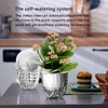 AIMALL 2 Pcs Plastic Transparent Lazy Self-Watering Flowerpot with Hydroponic