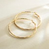 AMELINE Gold Hoop Earrings 14K Gold Earrings for Women