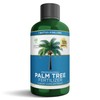 Leaves and Soul Professional Palm Tree Fertilizer Liquid Concentrate -