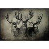 The Wild Bunch Mule Deer Print (36x24 Dark Version)