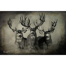 The Wild Bunch Mule Deer Print (36x24 Dark Version)