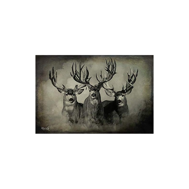 The Wild Bunch Mule Deer Print (36x24 Dark Version)