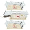 Xpieoyrm Pack of 3 Mouse Traps