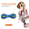 AUSCAT Dog Squeaky Chew Toys, Interactive Rubber Dog Toys for