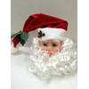 Santa Claus Decorative Head - Classic Plastic Santa Claus Head