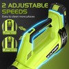 Leaf Blower, Electric Cordless Leaf Blower with 2 Batteries and