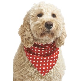 Pet Pooch Boutique Polka Dot Bandana for Dog, Medium/Large, Red