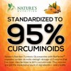 Turmeric Curcumin Supplement - 95% Curcuminoids with Glucosamine, Ginger &