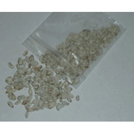 Saffron milk cap(Red pine mushroom) spores spawn/mycelium (on dry seeds)