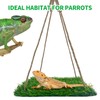FlidRunest Large Green Bearded Dragon Hammock, Soft Bearded Dragon Hammock