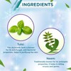 Himani Boroplus Ice Prickly Heat Powder 150 Gm (Pack of