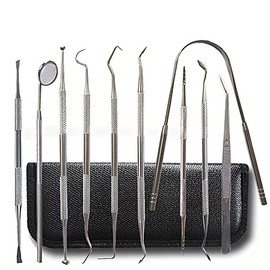 Kit de 10 Herramientas Dentales Profesionales, Acero Inoxidable, Higiene Bucal Completa: Espejo Bucal, Raspador de Sarro, Sonda, Pinzas, Limpiador de Lengua, para Eliminar Placa y Sarro con Estuche