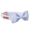Unique Style Paws Pet Soft &Comfy Bowtie Dog Collar and