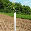 Pushglossy 5 Pack Tree Grow Tube Seedling Protectors Slit Tree