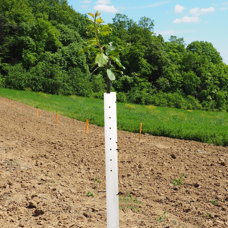 Pushglossy 5 Pack Tree Grow Tube Seedling Protectors Slit Tree
