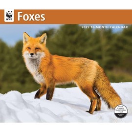 Calendar Ink, Foxes WWF 2025 Wall Calendar