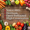 Mountain Valley Seed Co Pinto Bean Seeds 25 Lb Bulk