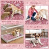 BVAGSS Washable Pee Pads for Dogs, 2 Pack Reusable Leakproof
