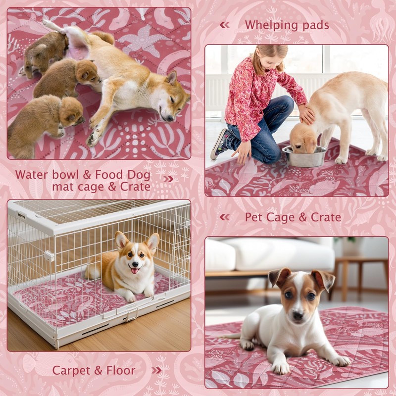 BVAGSS Washable Pee Pads for Dogs, 2 Pack Reusable Leakproof