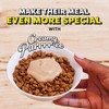 Temptations Creamy Puree Squeezable Lickable Wet Cat Treats with Salmon,