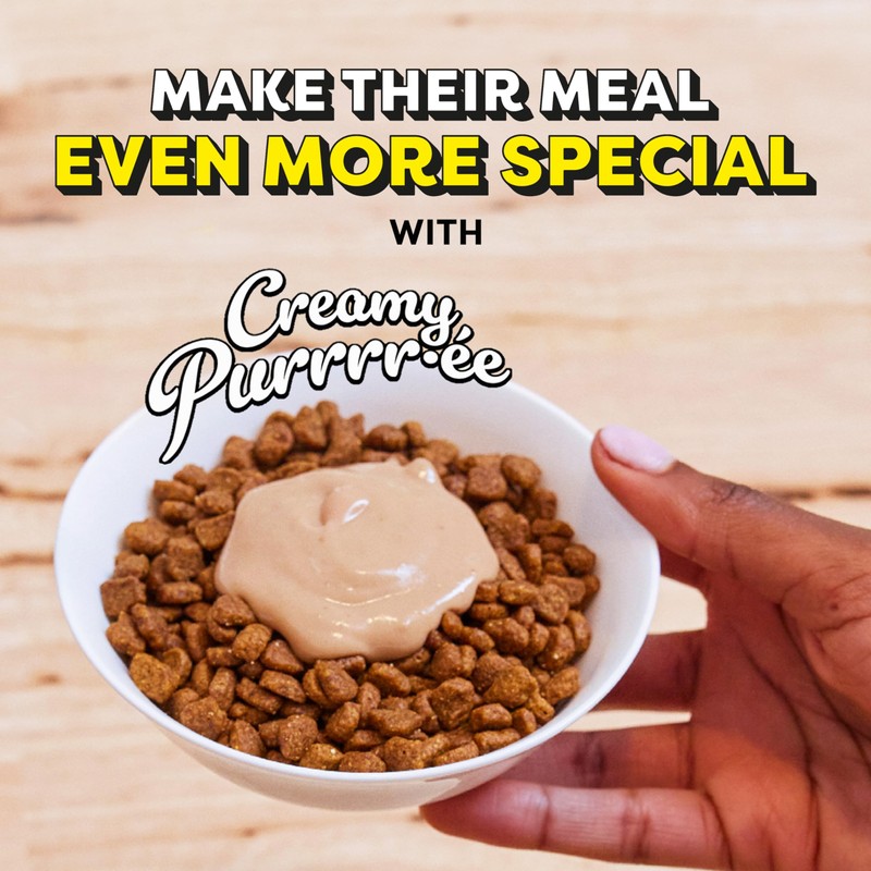Temptations Creamy Puree Squeezable Lickable Wet Cat Treats with Salmon,