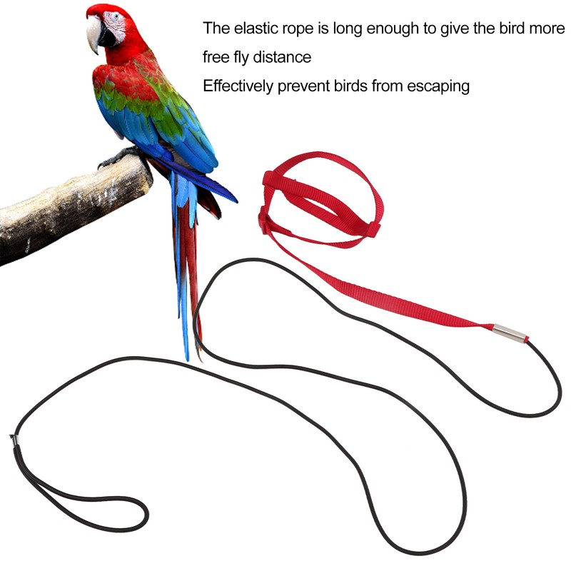 Bird Leash Bite Resistant Adjustable Parrot Flying Training Rope for