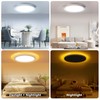 Aphyni 2Pack 14.2inch LED Ceiling Light Fixture with Planetary Ring