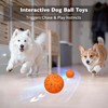 hipibbo Interactive Dog Toys Dog Ball, Durable Motion Pet Toys